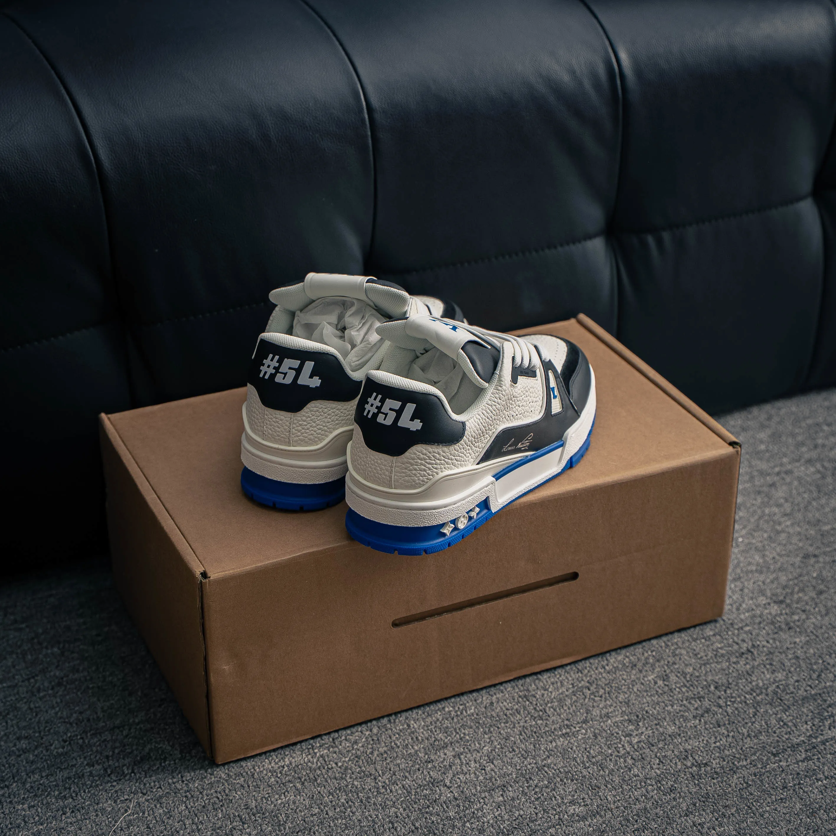 Louis Vuitton Trainer lv Sneakers Shoes Shoes